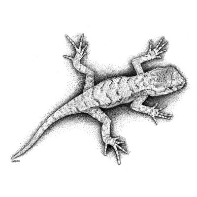 3D Lizard, Animated Reptile, Graphic Design, Virtual Model, Digital Creature Drawing