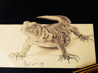 3D Lizard, Animated Reptile, Graphic Design, Virtual Model, Digital Creature Drawing