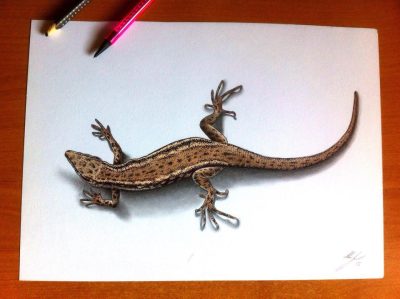 3D Lizard, Digital Model, 3D Graphics, Animated Reptile, Virtual Creature Drawing