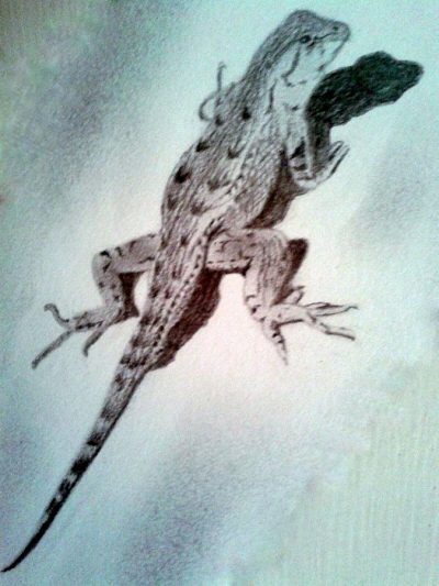 3D Lizard, Animated Reptile, Graphic Design, Virtual Model, Digital Creature Drawing