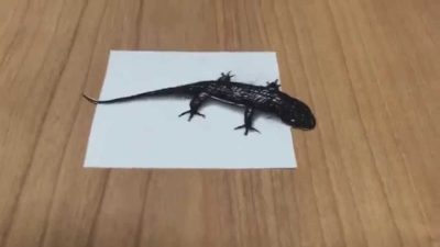 3D Lizard, Lizard Animation, 3D Graphics, 3D Model, Digital Reptile Drawing