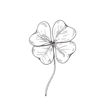 4 Leaf Clover, Symbolism, Fortune, Luck, Nature Drawing