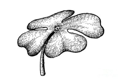 4 Leaf Clover, Symbol, Fortune, Luck, Rare Drawing