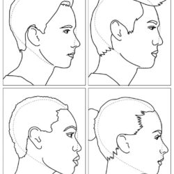 4 Profile Drawing Artistic Sketching