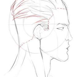 4 Profile Drawing Modern Sketch