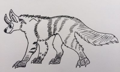 Aardwolf, Insectivore, Hyena, Nocturnal, Africa Drawing