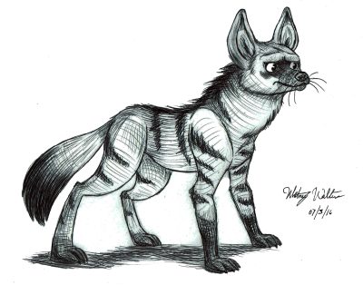 Aardwolf, Nocturnal, Hyena, Africa, Insectivorous Drawing