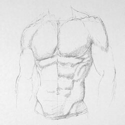 Abs Drawing Art