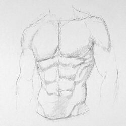 Abs Drawing Stunning Sketch