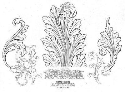 Acanthus, Architecture, Ornamental, Foliage, Design Drawing