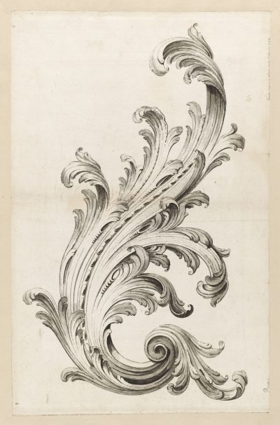 Acanthus Leaves, Botanical Inspiration, Classic Elegance, Architectural Motif, Ornamental Design Drawing