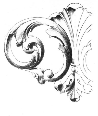 Acanthus Leaves, Botanical Inspiration, Classic Elegance, Architectural Motif, Ornamental Design Drawing