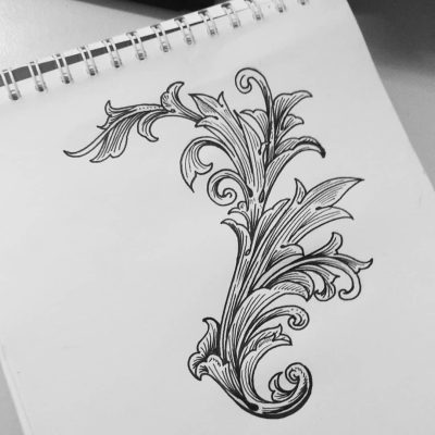 Acanthus, Decor, Plant, Ornamental, Leaves Drawing