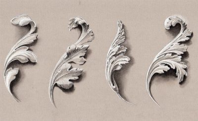 Acanthus Leaves, Botanical Inspiration, Classic Elegance, Architectural Motif, Ornamental Design Drawing