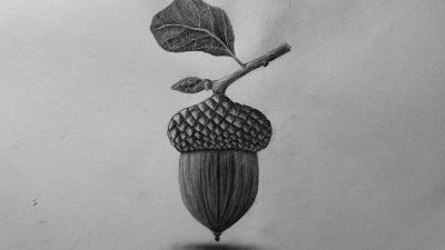 Acorn, Growth, Investment, Potential, Future Drawing