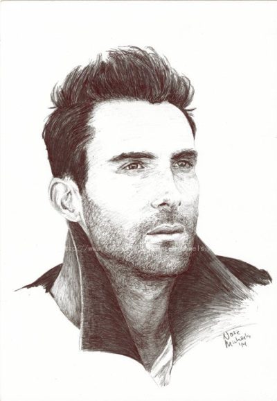 Adam Levine, Maroon 5, Songwriter, Singer, Musician Drawing