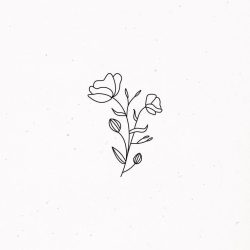 Aesthetic Flower Drawing