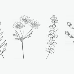 Aesthetic Flower Drawing Art