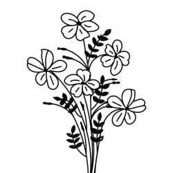 Aesthetic Flower Drawing Creative Style