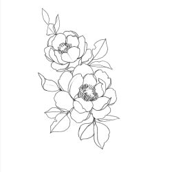 Aesthetic Flower Drawing Hand drawn Sketch