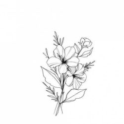 Aesthetic Flower Drawing Modern Sketch