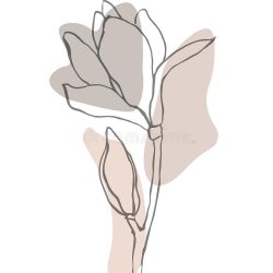 Aesthetic Flower Drawing Stunning Sketch