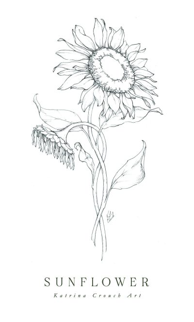 Aesthetic Flower, Botanical Beauty, Artistic Petals, Floral Elegance, Nature’s Charm Drawing