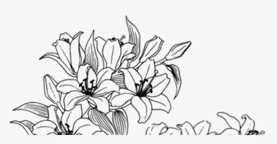 Aesthetic Flower, Colorful Flora, Whimsical Botanical, Vibrant Bloom, Artistic Petals Drawing