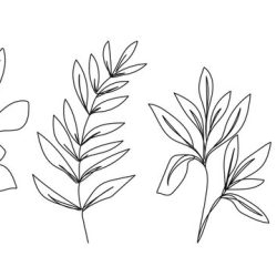 Aesthetic Plant Drawing Amazing Sketch