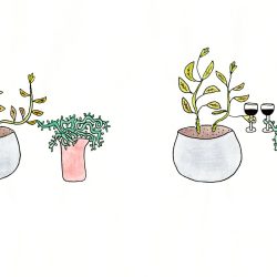 Aesthetic Plant Drawing Creative Style