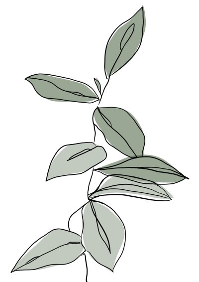 Aesthetic Plant, Indoor Botanicals, Stylish Foliage, Greenery Decor, Nature Vibes Drawing