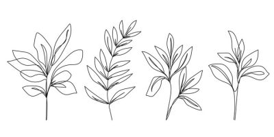 Aesthetic Plant, Stylish Decor, Nature Vibes, Serene Greens, Lush Foliage Drawing