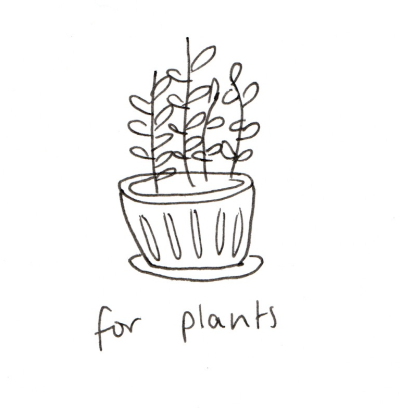 Aesthetic Plant, Indoor Botanicals, Stylish Foliage, Greenery Decor, Nature Vibes Drawing