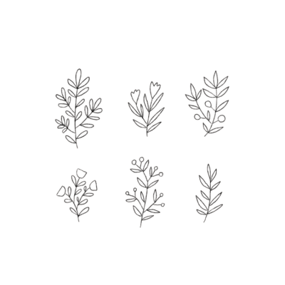 Aesthetic Plant, Stylish Decor, Nature Vibes, Serene Greens, Lush Foliage Drawing