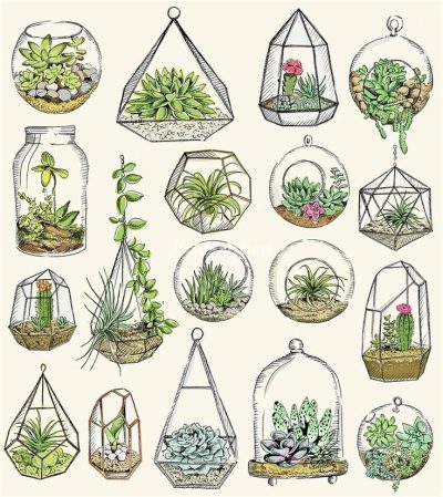 Aesthetic Plant, Nature, Greenery, Decor, Serenity Drawing