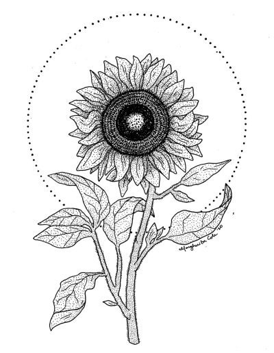 Aesthetic Sunflower, Golden Petals, Nature’s Beauty, Vibrant Blooms, Cheerful Vibes Drawing