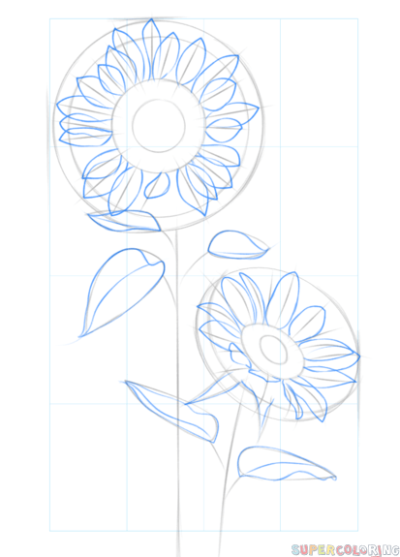 Aesthetic Sunflower, Golden Petals, Nature’s Beauty, Vibrant Blooms, Cheerful Vibes Drawing