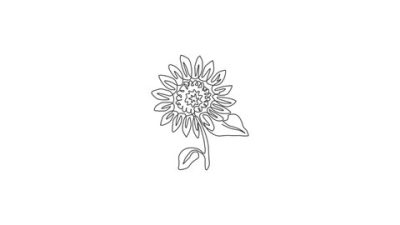 Aesthetic Sunflower, Vibrant Blooms, Nature’s Beauty, Radiant Yellow, Cheerful Vibes Drawing