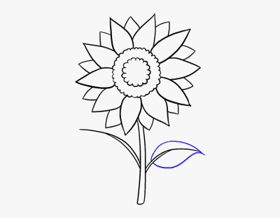 Aesthetic Sunflower, Nature’s Beauty, Golden Petals, Cheerful Vibes, Vibrant Blooms Drawing