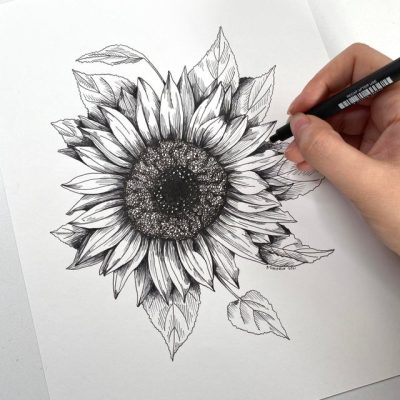 Aesthetic Sunflower, Vibrant Blooms, Artistic Floral, Whimsical Sunshine, Nature’s Beauty Drawing