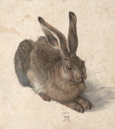 Albrecht Durer, Masterpiece, Engraving, Renaissance, Artistry Drawing