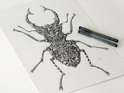 Alex Konahin, Fantasy Creatures, Detailed Designs, Surreal Art, Intricate Illustrations Drawing