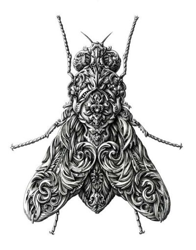 Alex Konahin, Surreal Art, Nature Themes, Intricate Illustrations, Detailed Linework Drawing