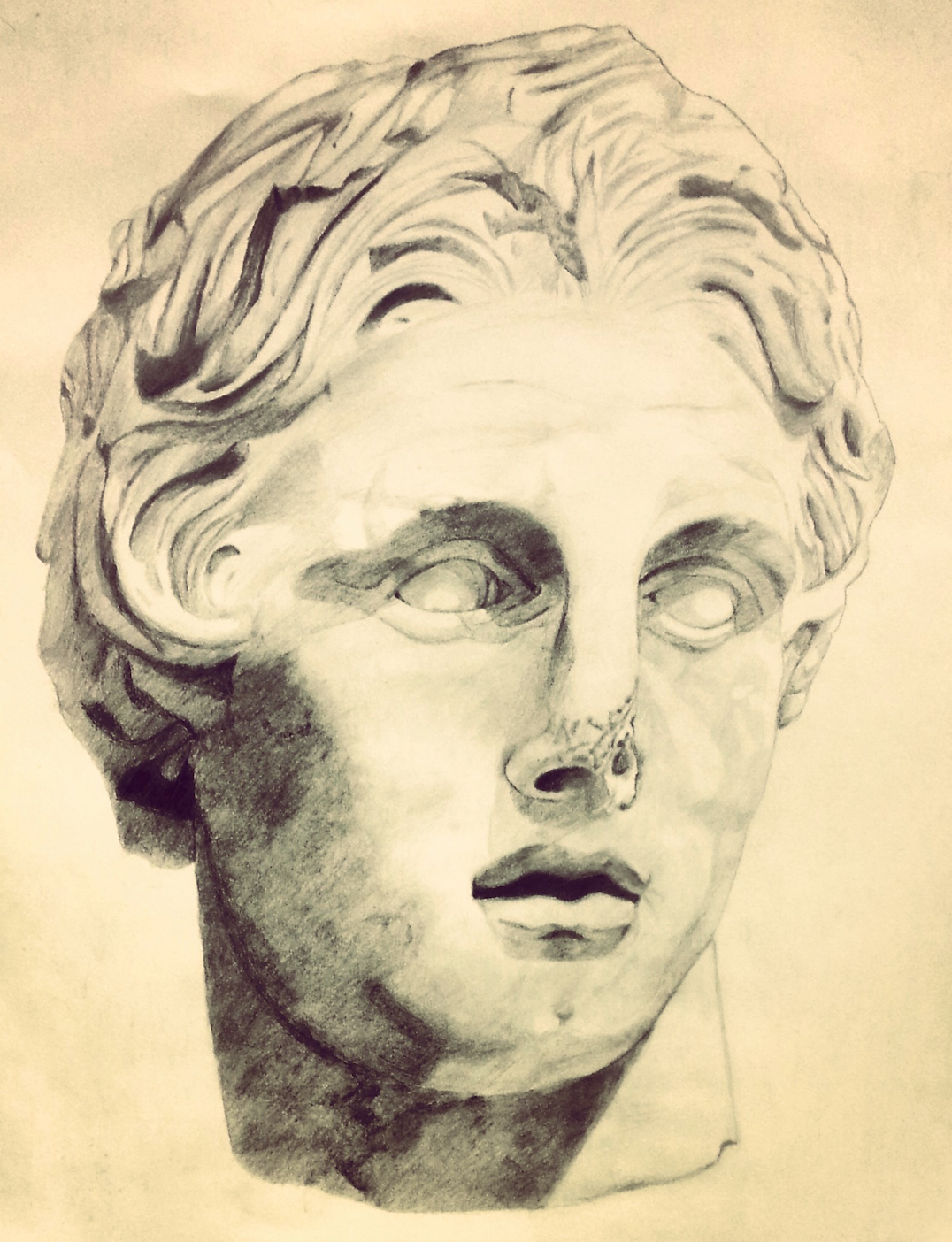 Alexander The Great Drawing Fine Art
