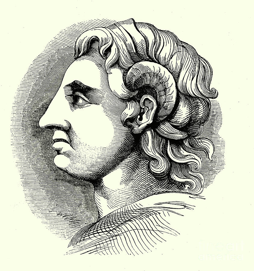 Alexander The Great Drawing Sketch