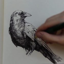 Allan Poe Drawing Intricate Artwork