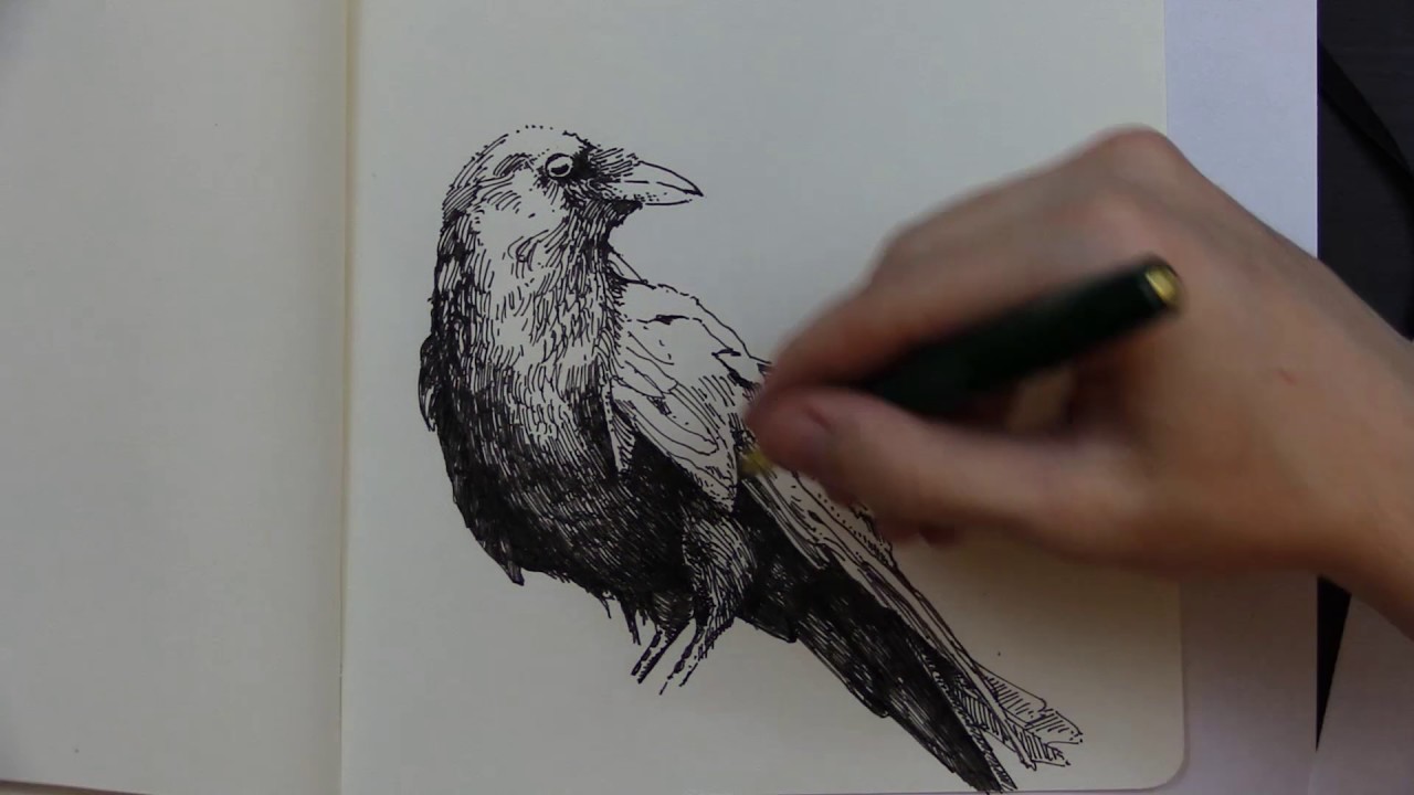 Allan Poe Drawing Intricate Artwork