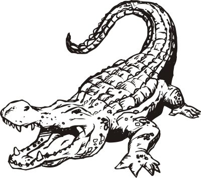 Alligator, Aquatic, Predator, Swamp, Reptile Drawing