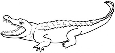 Alligator, Amphibian, Swamp, Reptile, Predator Drawing