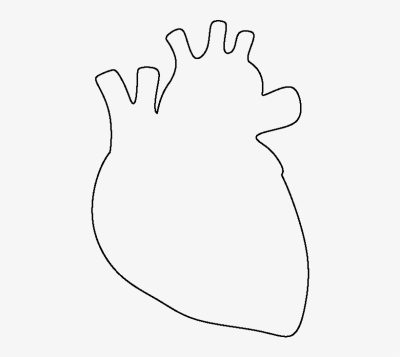 Anatomical Heart, Artistic Representation, Human Anatomy, Detailed Structure, Realistic Design Drawing